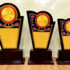 Wooden Award 11