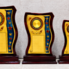 Wooden Award 12