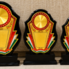 Wooden Award 16