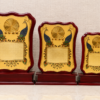 Wooden Award 24