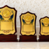 Wooden Award 5