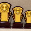 Wooden Award 7
