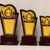 Wooden Award 8
