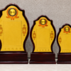 Wooden Award 9